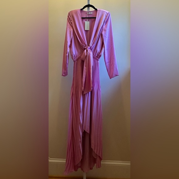 NEW Ramy Brook Zaylee Knotted Bodice Pleated Gown Sz S Pink Plunging Neckline - Picture 9 of 11